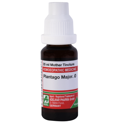 Plantago Major 1X (Q) (20ml)